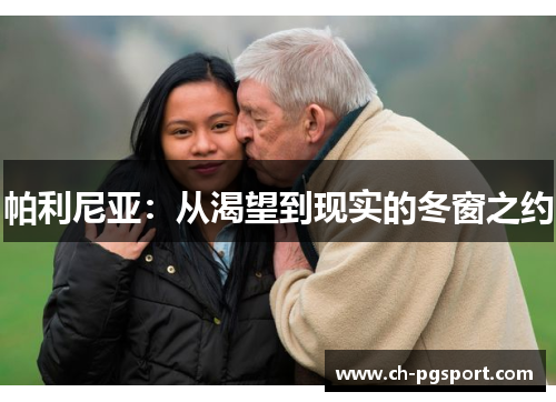 帕利尼亚：从渴望到现实的冬窗之约