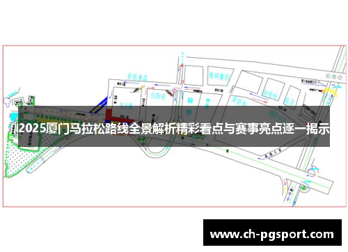 2025厦门马拉松路线全景解析精彩看点与赛事亮点逐一揭示